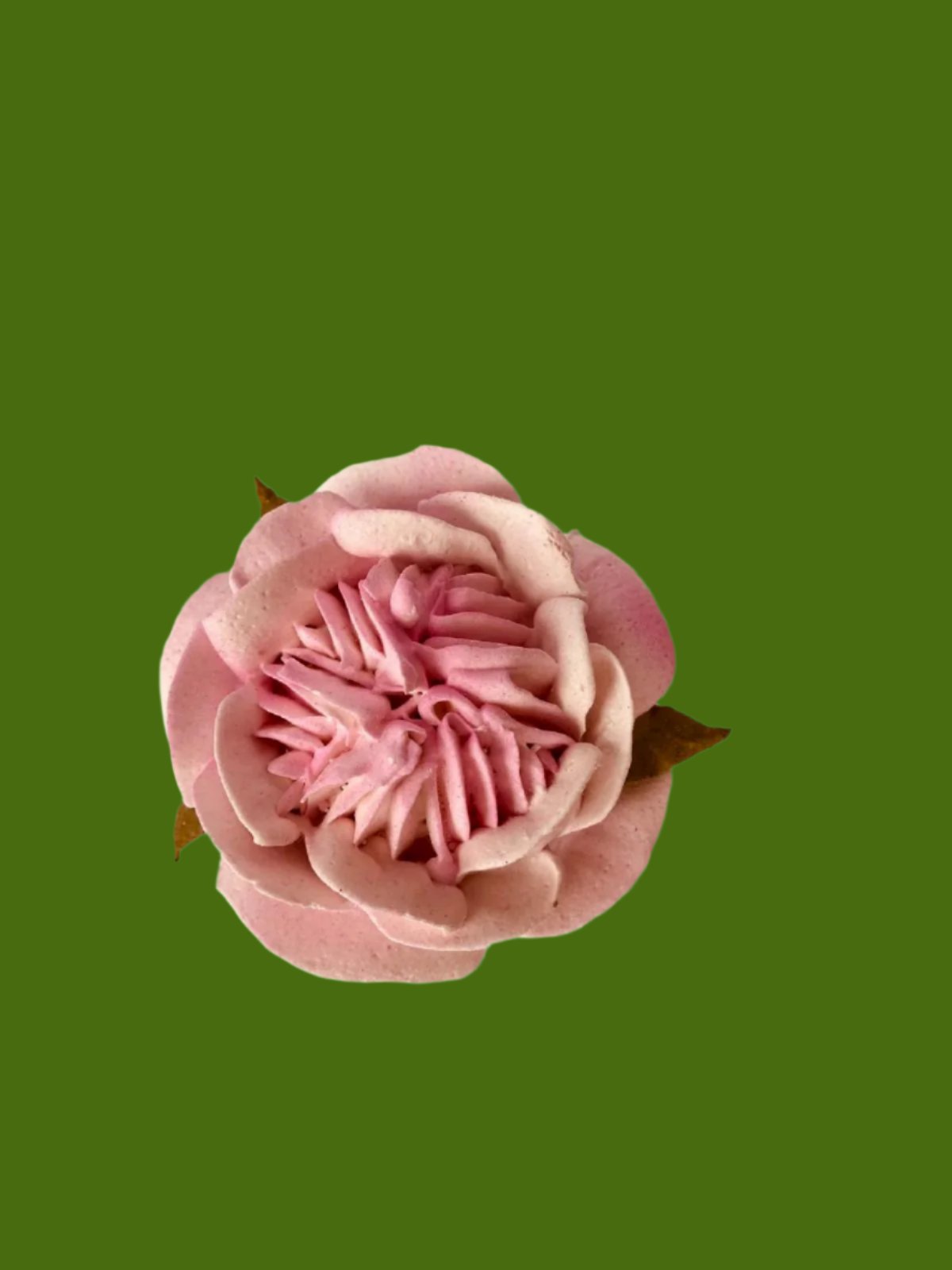 English Rose