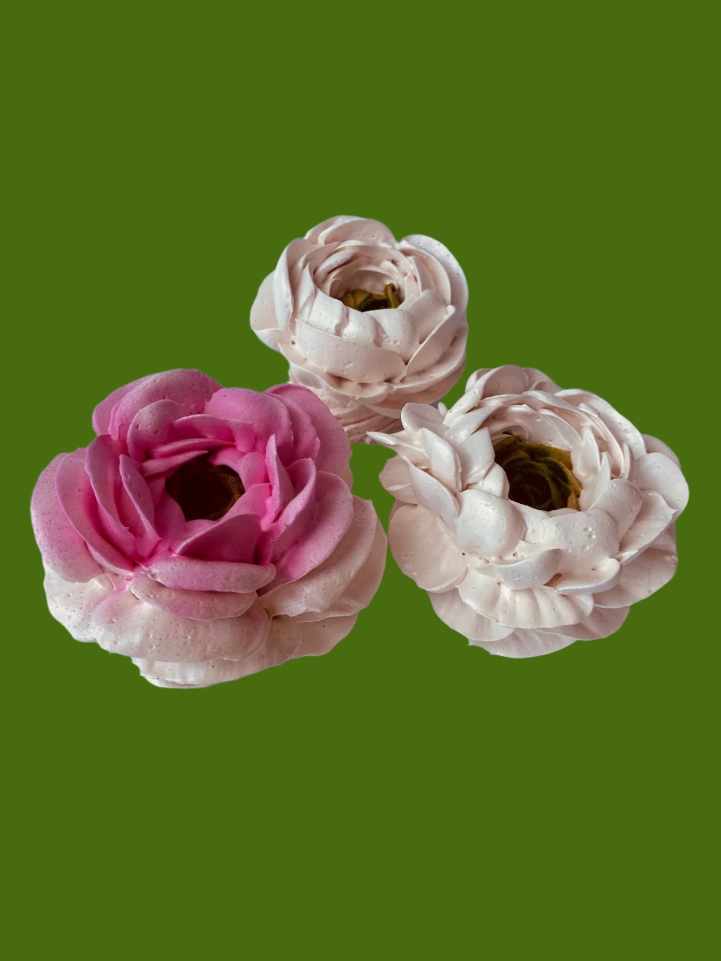 Ranunculus