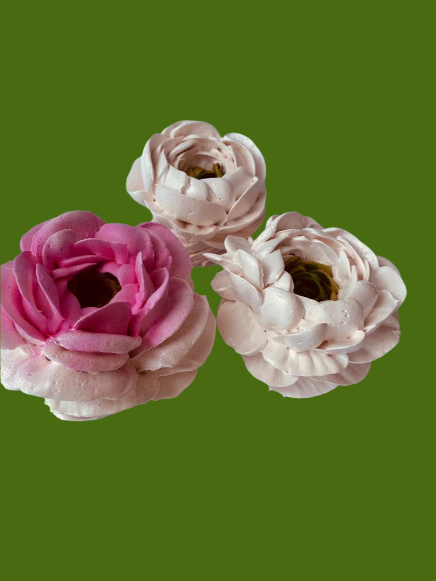 Ranunculus