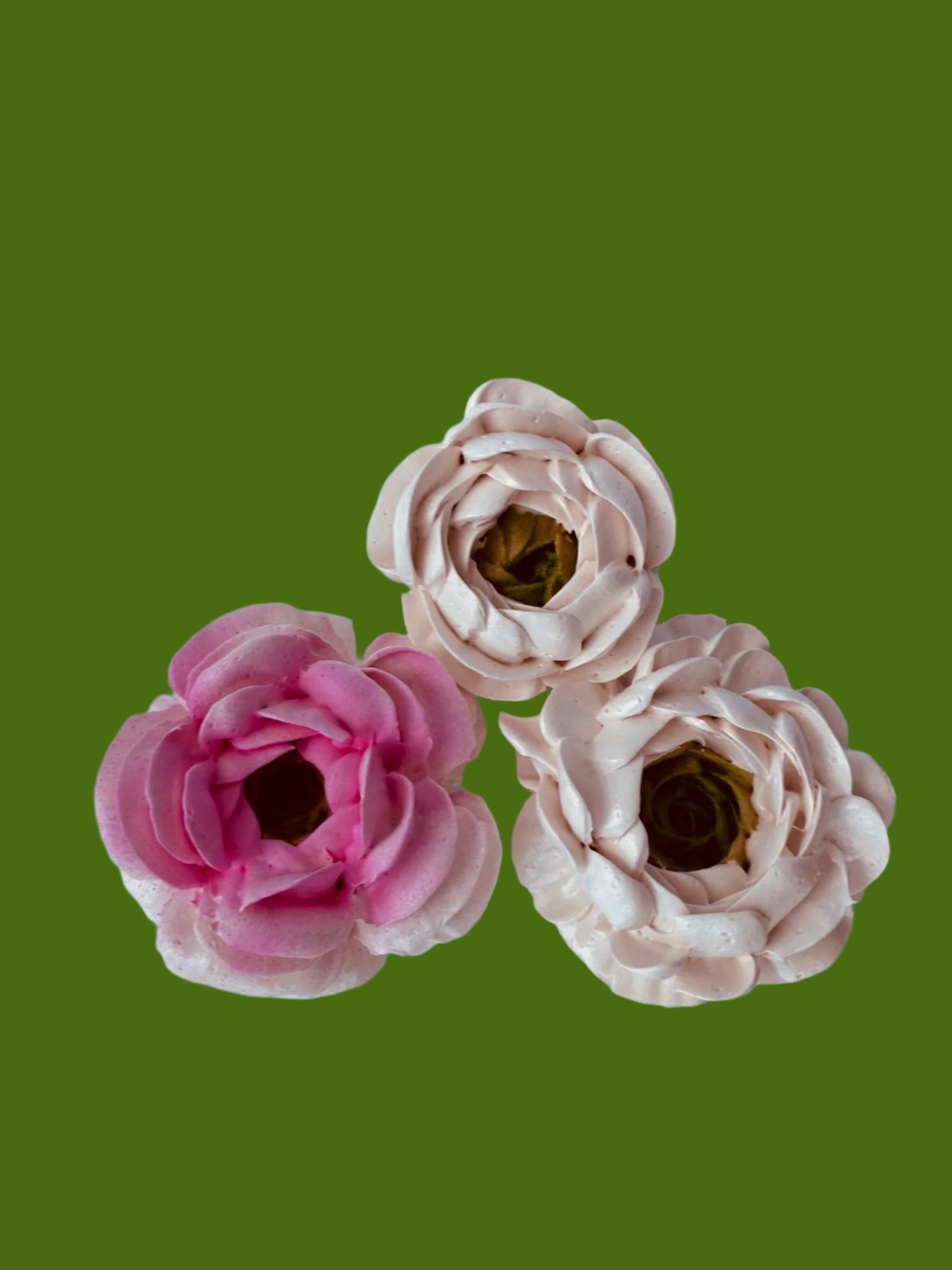 Ranunculus